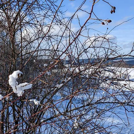 Appartamento Schoenherr